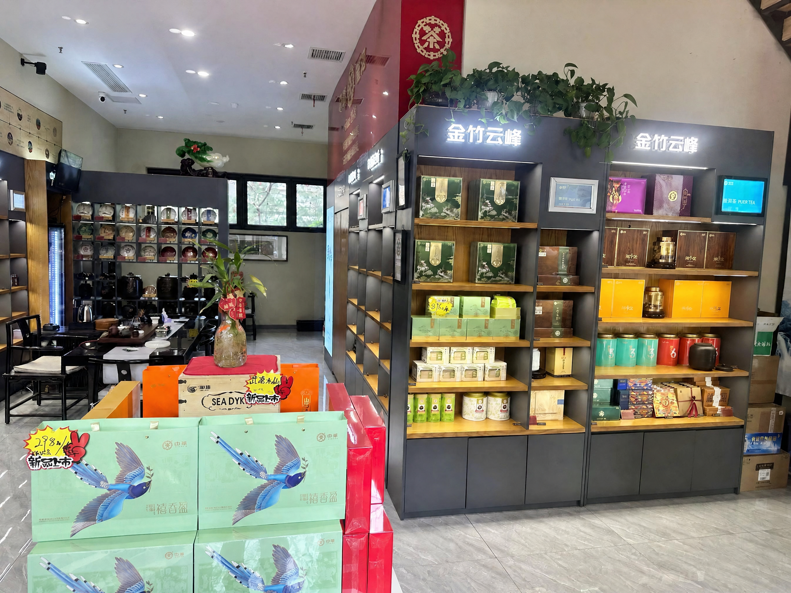 金竹茶业