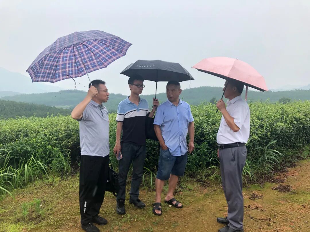 农户考察合作